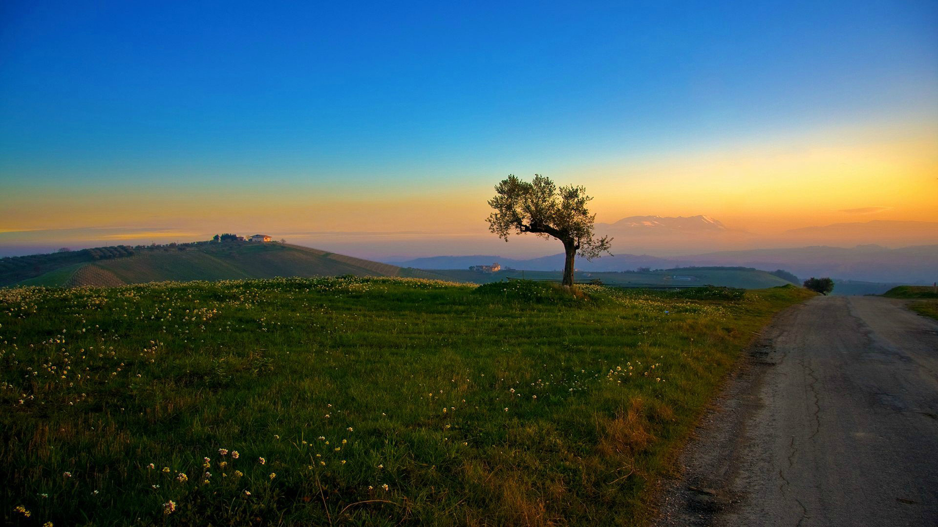 1920 x 1080 HD Wallpapers 1597